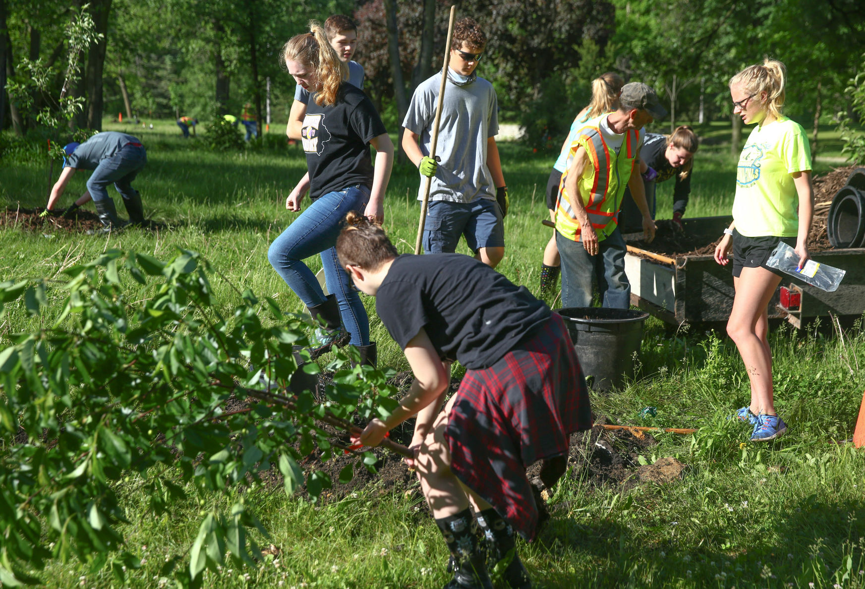 YIELD - tree planting 2